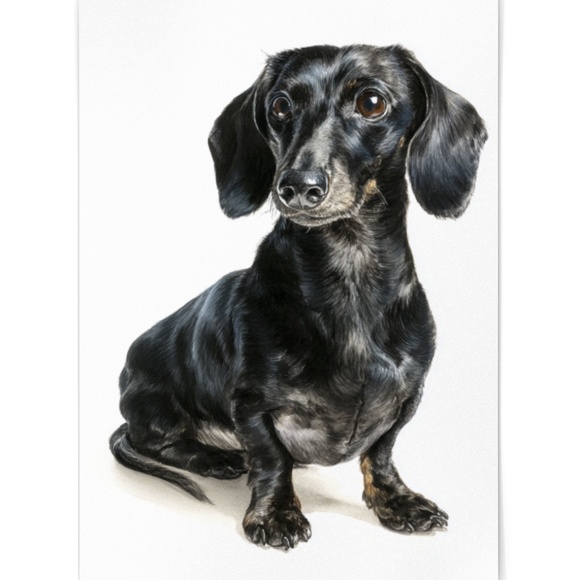 Watercolor Black Dachshund Dog Portrait Art Print – Unframed Fine Art Poster - Picture 2 of 5